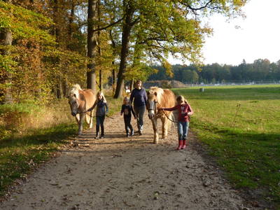 Bild 25 aus  Leverenzhof