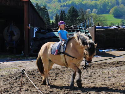 Bild 33 aus  Ferienhof Dingeldey