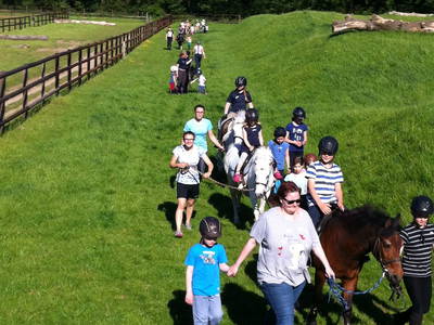 Bild 11 aus  Reiterhof Tramm