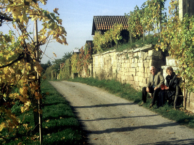 Weinlese 1985