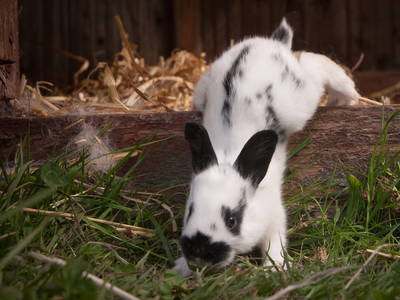 Flecki (noch ganz klein) on tour ...