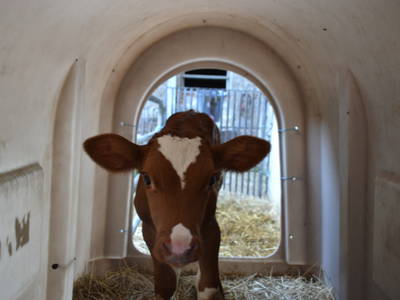 Bild 7 aus  Niederauer Hof