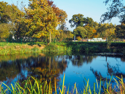 Bild 15 aus  Hof Letsch