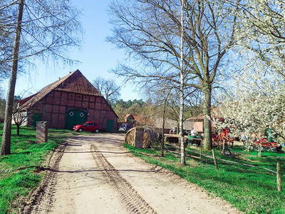 Bild 10 aus  Bauernhof Laave