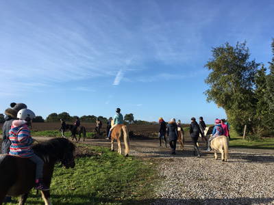 Bild 4 aus  Ferienhof Messer  Bauernhofurlaub  Ostseenähe  Ponys