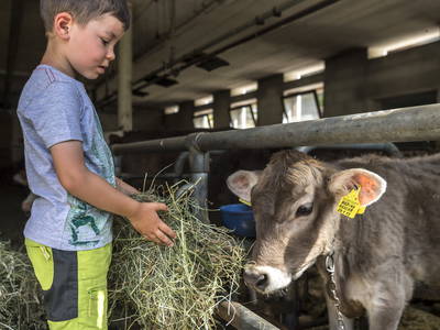 Bild 21 aus  Unterkantiolerhof