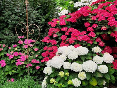 Bild 40 aus  Ferienhof Claußen