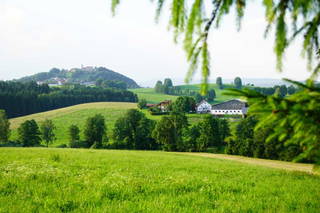 Ferienhof Jakob, Rohrhof aus Jandelsbrunn