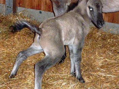 Bild 24 aus  Hof Grüneberg