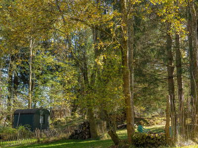 Bild 37 aus  Grashöfle