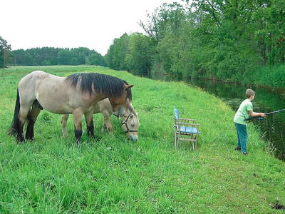 Bild 15 aus  Ferienhaus Zur Tenne