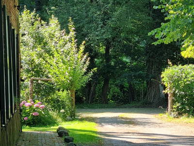 Einfahrt am Wald