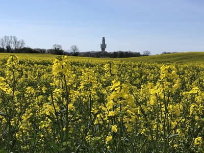 Bild 75 aus  Ostsee Ferienhof Kluvetasch