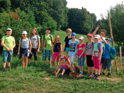 Bild 22 aus  Baumhotel Auszeit