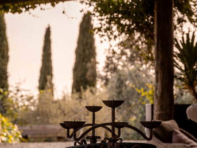 Bild 17 aus  LandSelection Weingut "IL PALAGIO"