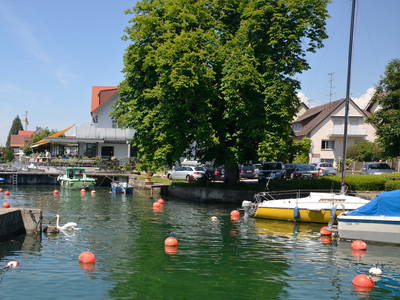 Bild 14 aus  Ferienhof Mecking