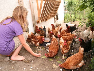 Bild 5 aus  Ferienhof Halbig