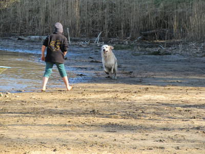Bild 17 aus  Ferienhäuser in Waldhütten