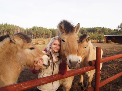 Bild 11 aus  Arendel - Das norwegische Dorf