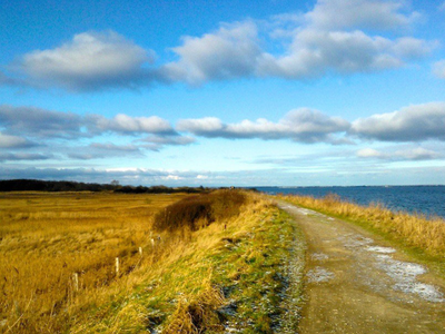 Bild 6 aus  Ferienhaus Falshöft