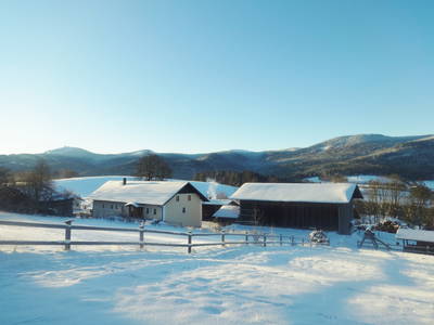 Bild 12 aus  Haberlhof