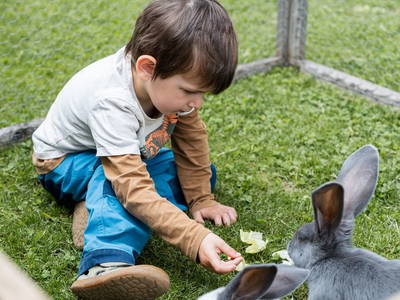 Bild 13 aus  Schädlerhof