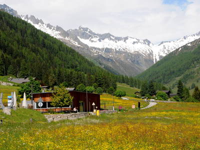 Bild 6 aus  Haus Steger