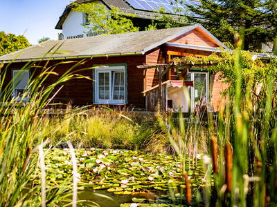 Bild 20 aus  Ferienhof Wolschendorf