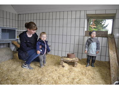 Bild 8 aus  Ferienhof Borchers