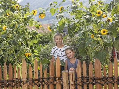 Bild 39 aus  Neuhauserhof