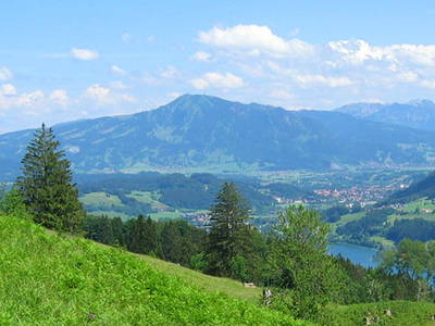 Bild 12 aus  Biohof Bilger