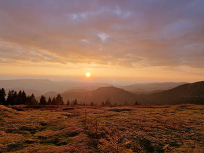 Bild 66 aus  Langenhof im Schwarzwald bei Oppenau