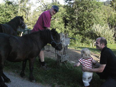 Bild 16 aus  Ferienhof Rasch