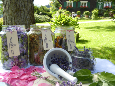 Bild 29 aus  LandSelection  *  WAIBELHOF *  AllgäuerAlpenWellness