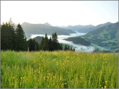 Bild 20 aus  Wendlarhof