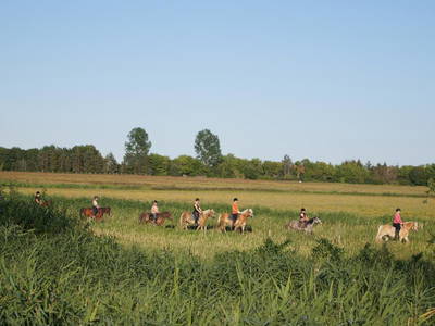 Bild 32 aus  Bernsteinreiter Hirschburg