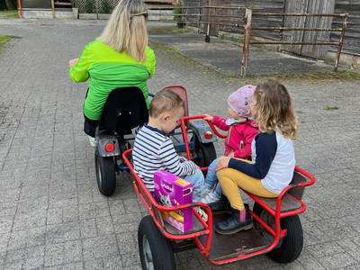 Bild 25 aus  Ferienhof Westermann