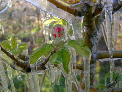 Bild 17 aus  Finkenhof