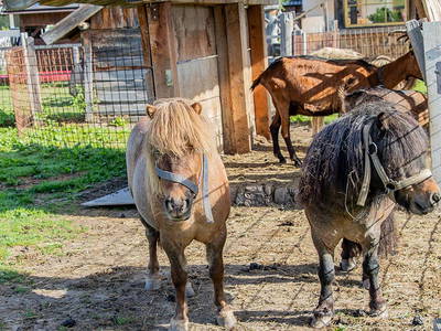 Bild 31 aus  Landselection Appartement Arnoldgut