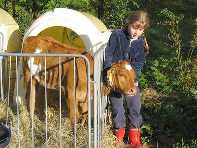 Bild 14 aus  Springhansenhof im Schwarzwald