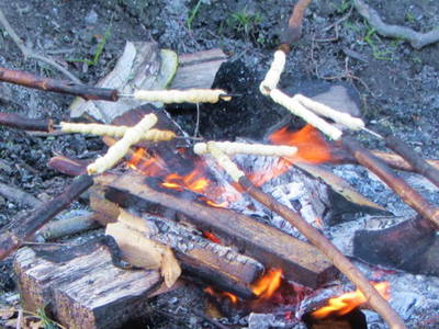 Bild 19 aus  Ferienhof  Moos