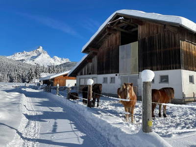 Bild 28 aus  Mittersteghof