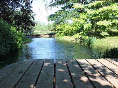 Bild 39 aus  Gutshaus Gottin