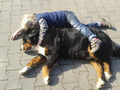 Bild 8 aus  Ferienhof Pulte