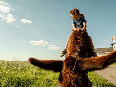 Bild 2 aus  LandSelection Grieshof