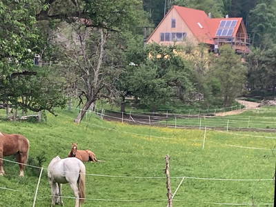 Die Dachsmühe umgeben von Wiesen und Feldern