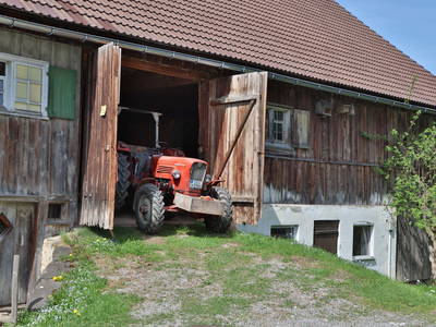 Bild 9 aus  Ferienhof Miller