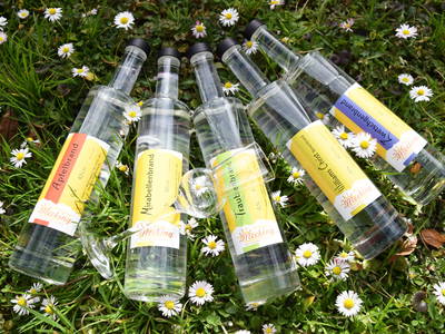 Bild 13 aus  Ferienhof Mecking