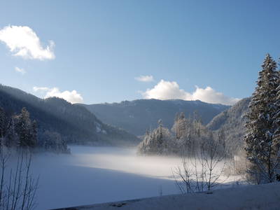 Bild 54 aus  Masererhof - Ferienbauernhof im Chiemgau