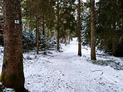 Bild 27 aus  Schreinerhäusle